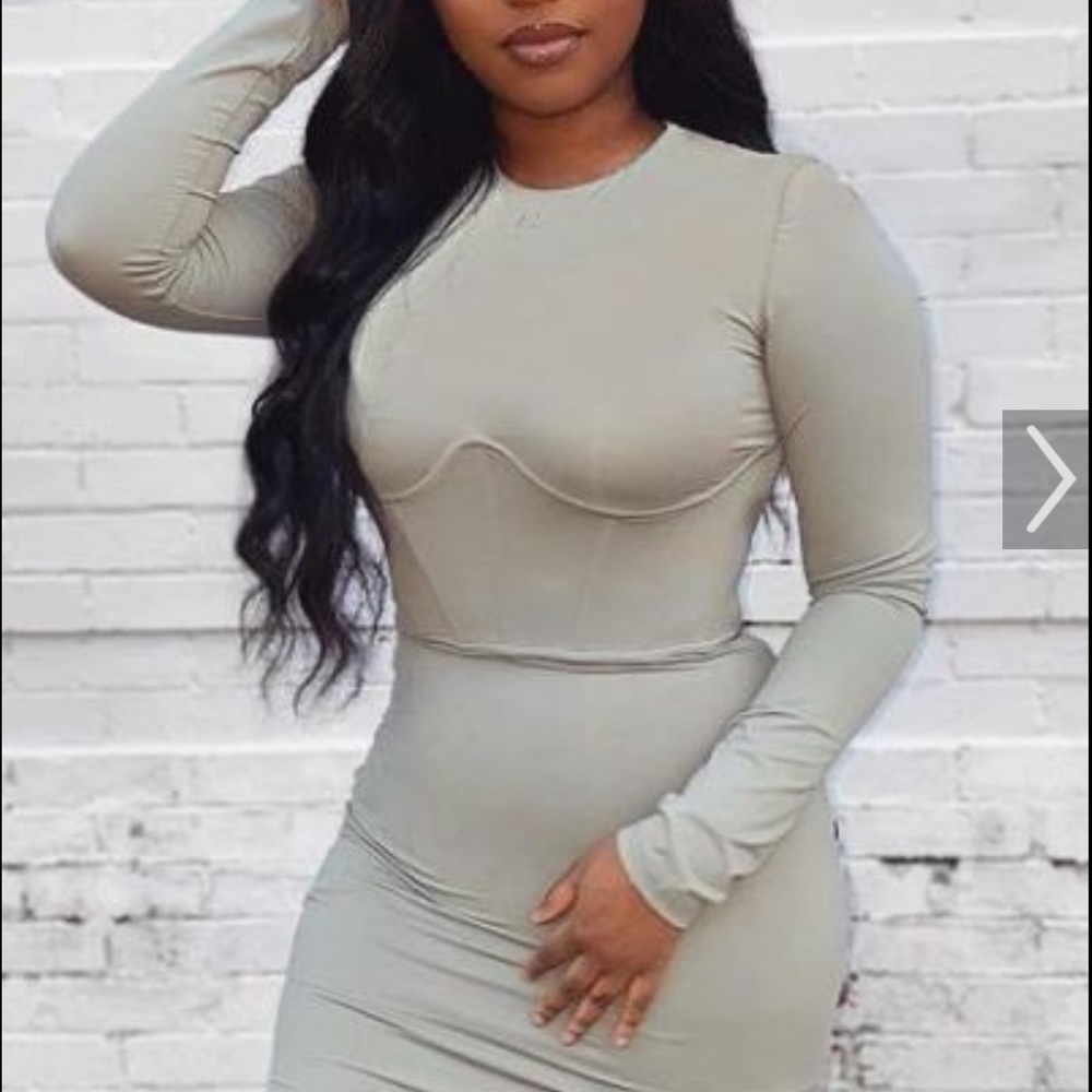 MESHKI NWT Long Sleeve Corsetted Waist Mini Dress